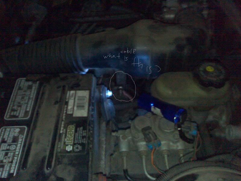 Name: 05282008352.jpg
Views: 923
Size: 48.4 KB