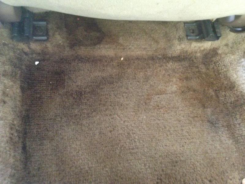 Name:  IMG_2880_zps303c4655.jpg
Views: 220
Size:  68.6 KB