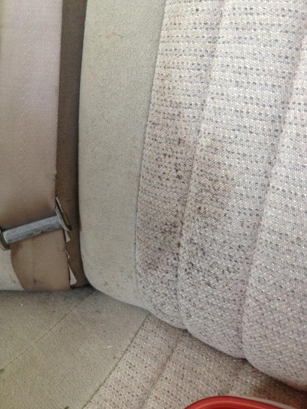 Name:  IMG_2879_zps5ceb4242.jpg
Views: 198
Size:  83.4 KB