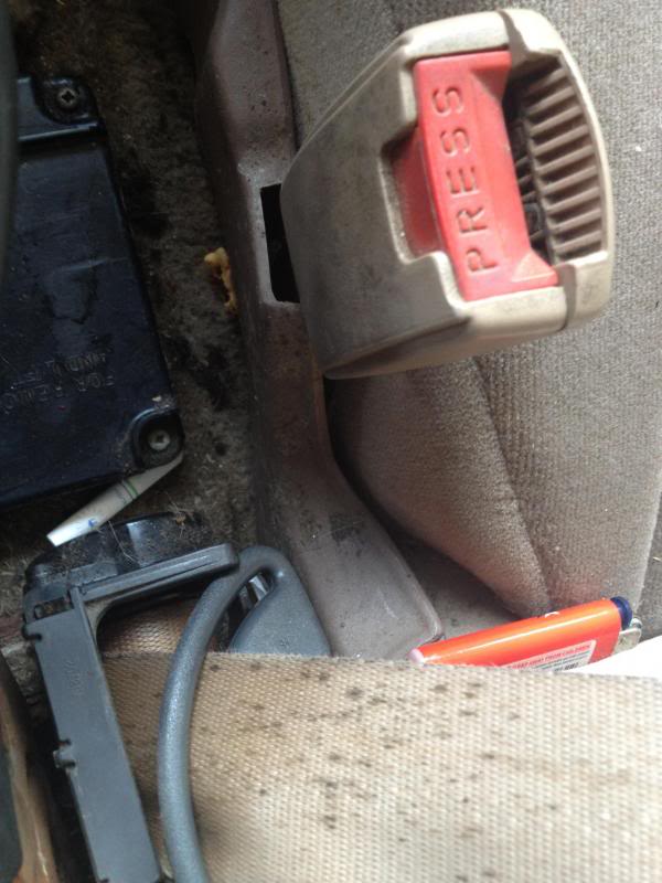 Name:  IMG_2878_zpsbe12d6aa.jpg
Views: 290
Size:  62.3 KB