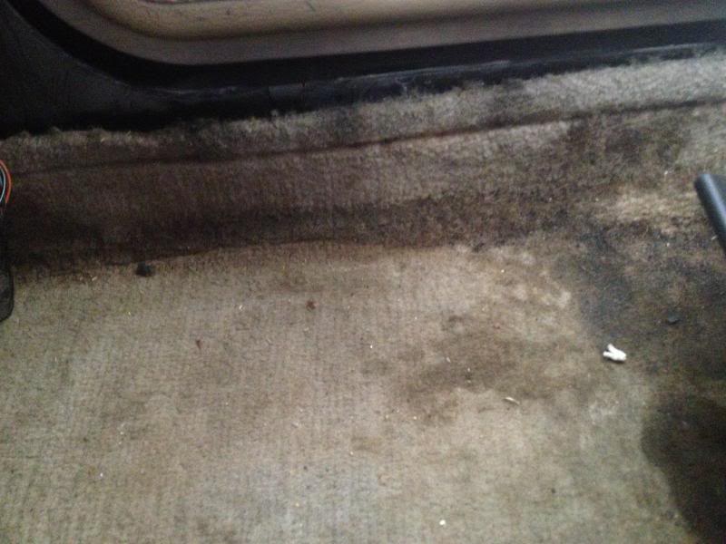 Name:  IMG_2877_zpsc8166e42.jpg
Views: 239
Size:  59.1 KB