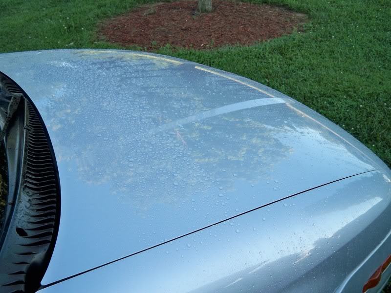 Name: 101_5418.jpg
Views: 42
Size: 93.2 KB