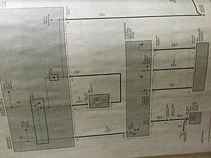 I am new to this forum. Hope you all can help me out!-e34d0b74-e698-4a18-a3b9-edebbd9a0396.jpeg