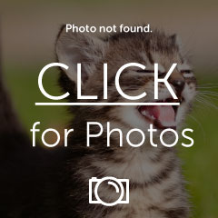 Name: Picture029.jpg
Views: 57
Size: 14.0 KB