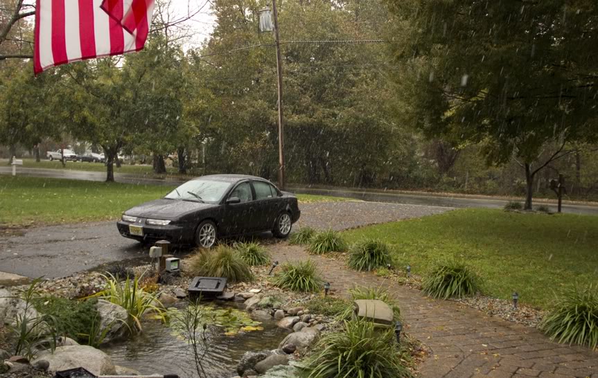 Name:  snow.jpg
Views: 30
Size:  129.0 KB