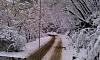 SnOctober-azsnowcountry-8-.jpg