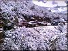 SnOctober-azsnocountry-1-.jpg