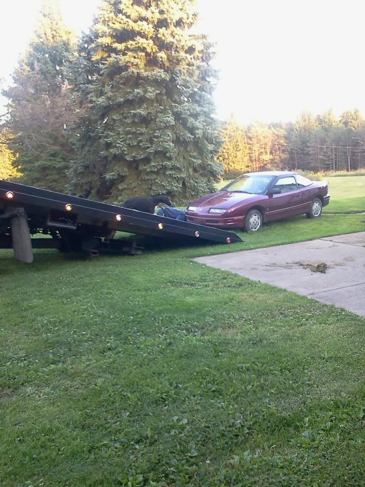 Name: 563879_104571759700165_244901362_n_zps152a647c.jpg
Views: 166
Size: 145.6 KB