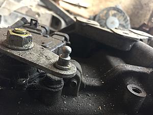 New member...just checking in!-133b2874-1de3-494c-93bd-f42ea8337ab9.jpeg