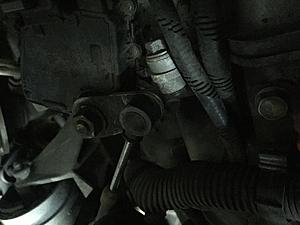 New member...just checking in!-9d7fc27c-fa06-4db6-bdc5-63f520f25cdb.jpeg