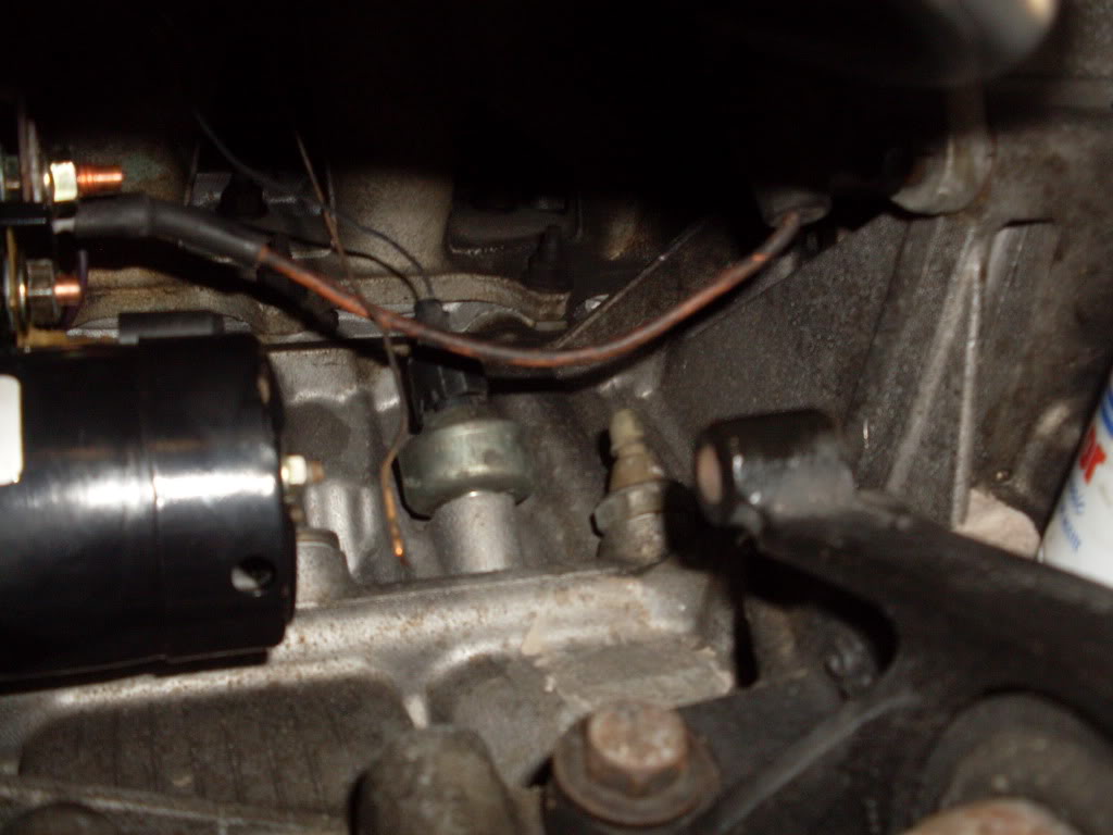 Name:  SDC10953.jpg
Views: 297
Size:  76.1 KB