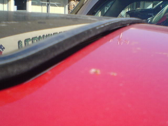 Name:  1175101705.jpg
Views: 514
Size:  29.5 KB