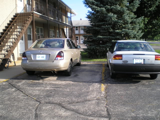 Name:  P1010007.jpg
Views: 1778
Size:  117.0 KB